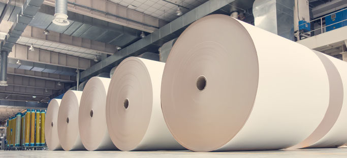 Pulp and Paper